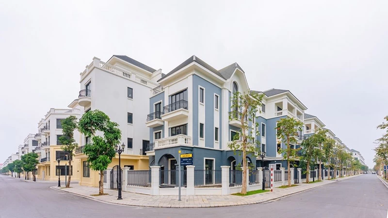 Biệt thự đơn lập