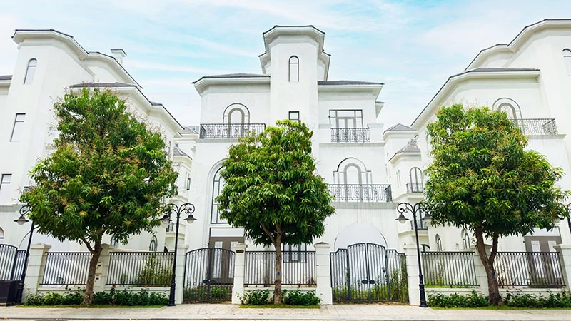 Biệt thự đơn lập