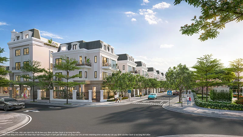 Biệt thự song lập